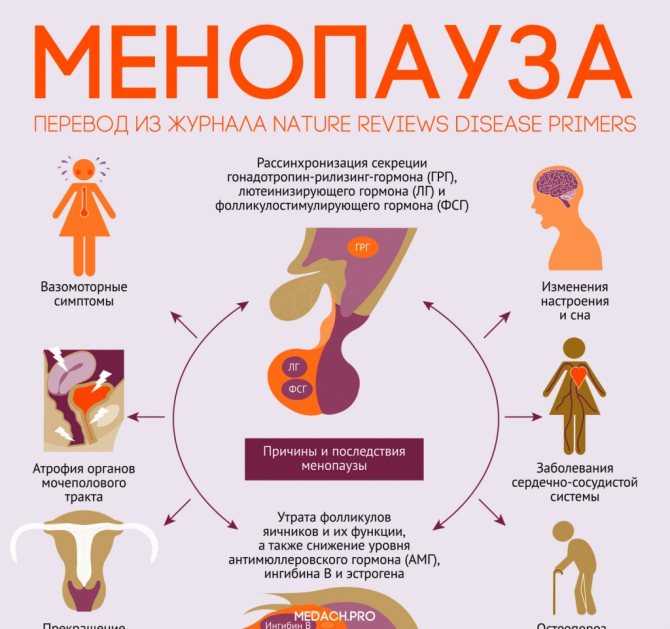 Месячные у женщин: когда менструация превращается в критические дни * клиника диана в санкт-петербурге