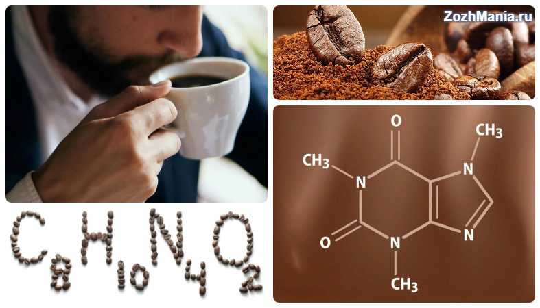 Работа кофеина. Кофеин в организме человека. Влияние кофеина на организм человека. Кофеин действие на организм. Кофеин в человеческом организме.