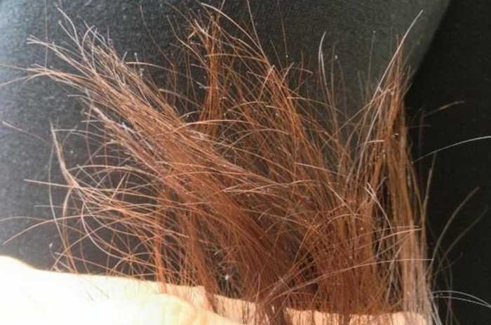 Восстановление и уход за кудрявыми волосами