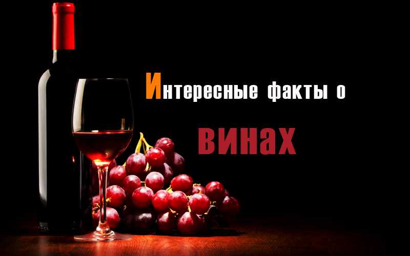 Притча вино. Интересные факты о вине. Необычные факты о вине. Факты про вино. Интересное про вино.