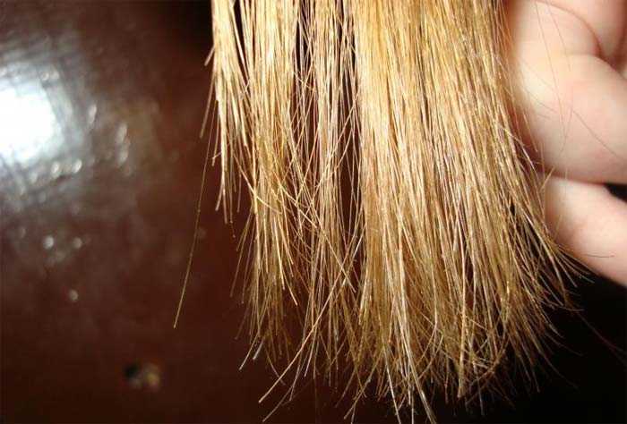 Выбор экспертов: 25 лучших кондиционеров для волос