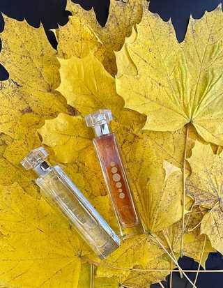Женские духи и парфюм на осень: топ лучших осенних ароматов для девушек и женщин на каждый день