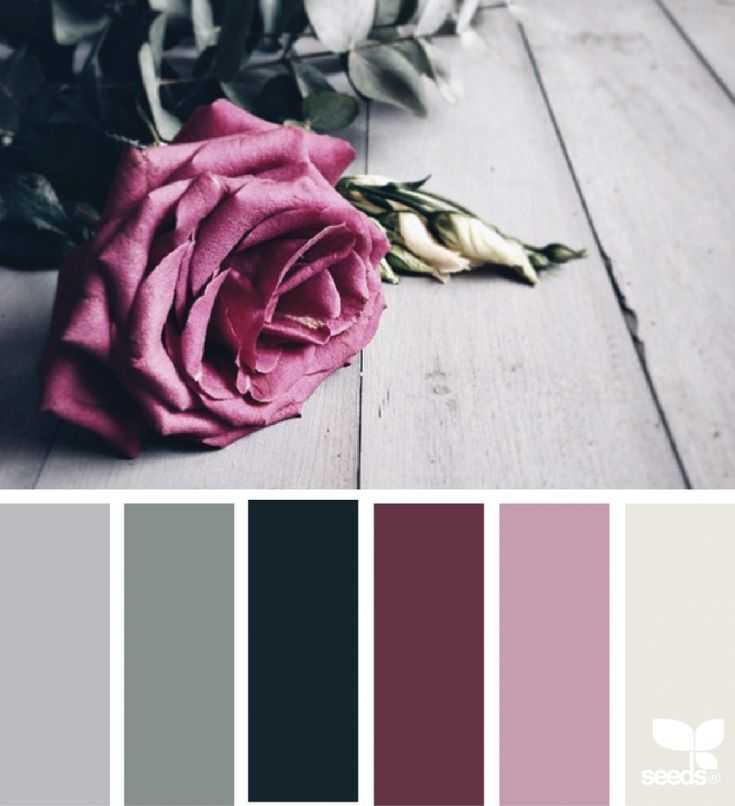 Цвет пепел розы (mauve) и сочетание с ним | lookcolor