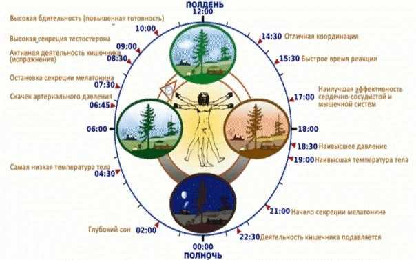Что такое энергетический массаж? энергетический массаж — это… расписание тренингов. самопознание.ру