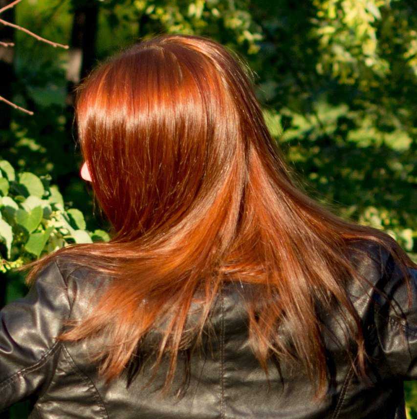 Хна или химическая краска — все за и против окрашивания волос натуральным средством