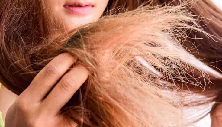 Как выбрать правильный кондиционер для волос: 10 шагов