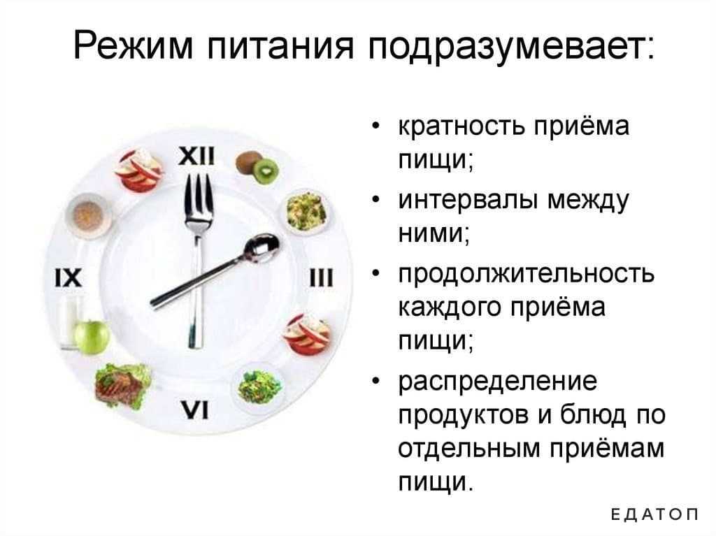 Как соблюдать режим правильного питания / здоровое питание по часам – статья из рубрики "здоровая еда" на food.ru