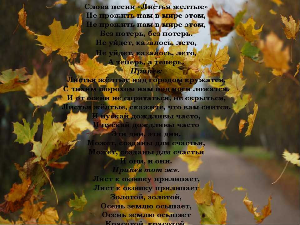 Текст листья школа. Стихи про осенние листья. Стихи про желтые листья. Стих листопад листопад. Стихи про конец осени.