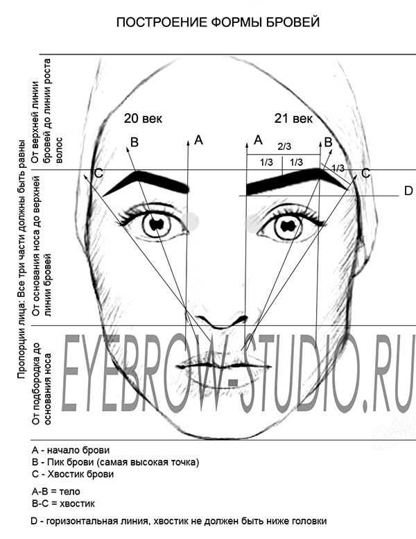 Правила построения эскиза бровей