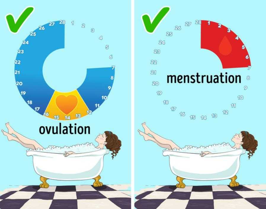 Менструальный цикл: что нормально, а что нет? | леколайк