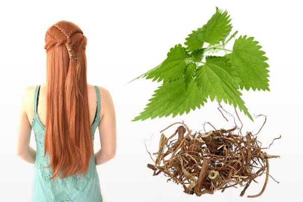 Какими травами ополаскивать волосы для роста и густоты волос