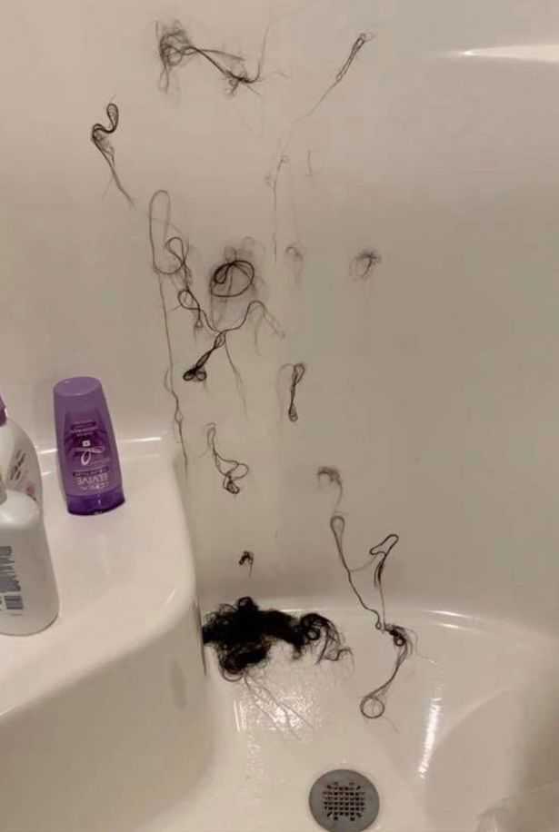 Можно ли мочить волосы каждый день но не мыть
