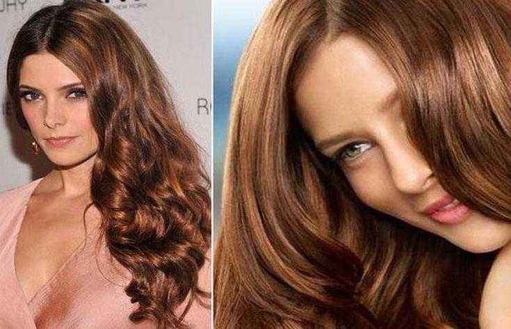 Орехово-каштановый цвет волос: советы по выбору краски, фото до и после окрашивания