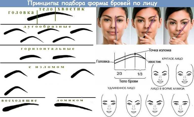 Изгиб бровей - подбор и коррекция по типу лица • журнал nails