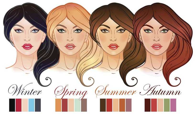 Описание цветотипов внешности – узнай кто ты! весна, лето, осень или зима!
