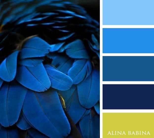Сочетание голубого цвета и его оттенков | lookcolor