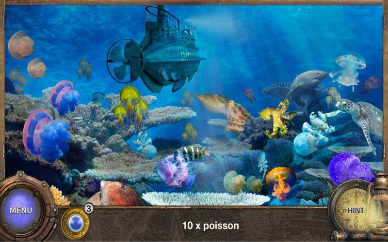 Мировой океан: тайны подводного мира и морских глубин и его обитатели | tvercult.ru