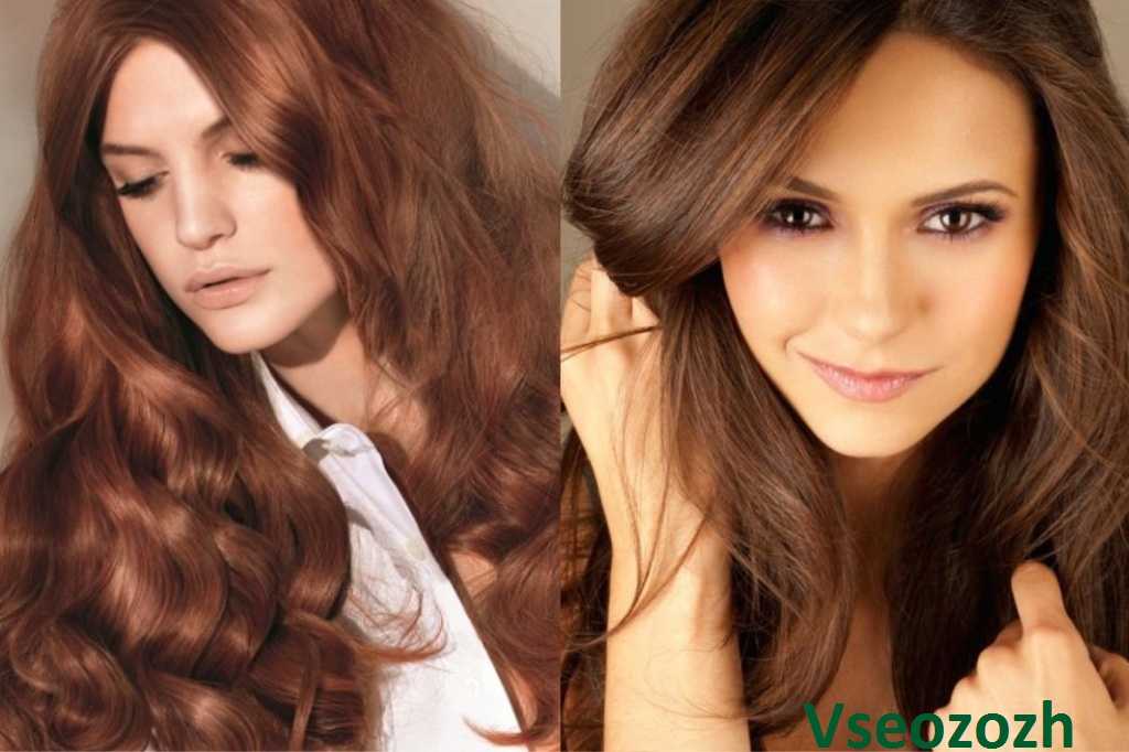 Орехово-каштановый цвет волос: советы по выбору краски, фото до и после окрашивания - luv.ru