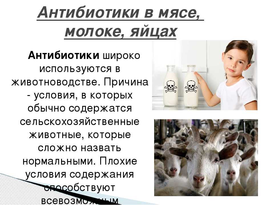 Аллергия на белок коровьего молока - симптомы, причины, профилактика и лечение