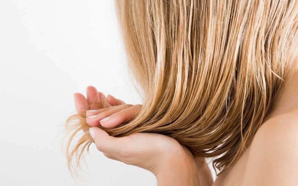 Как вылечить жирные волосы: советы трихолога по лечению и уходу. обзор шампуней для ухода за жирными волосами. специальные средства для лечения жирных волос. народные рецепты для жирных волос