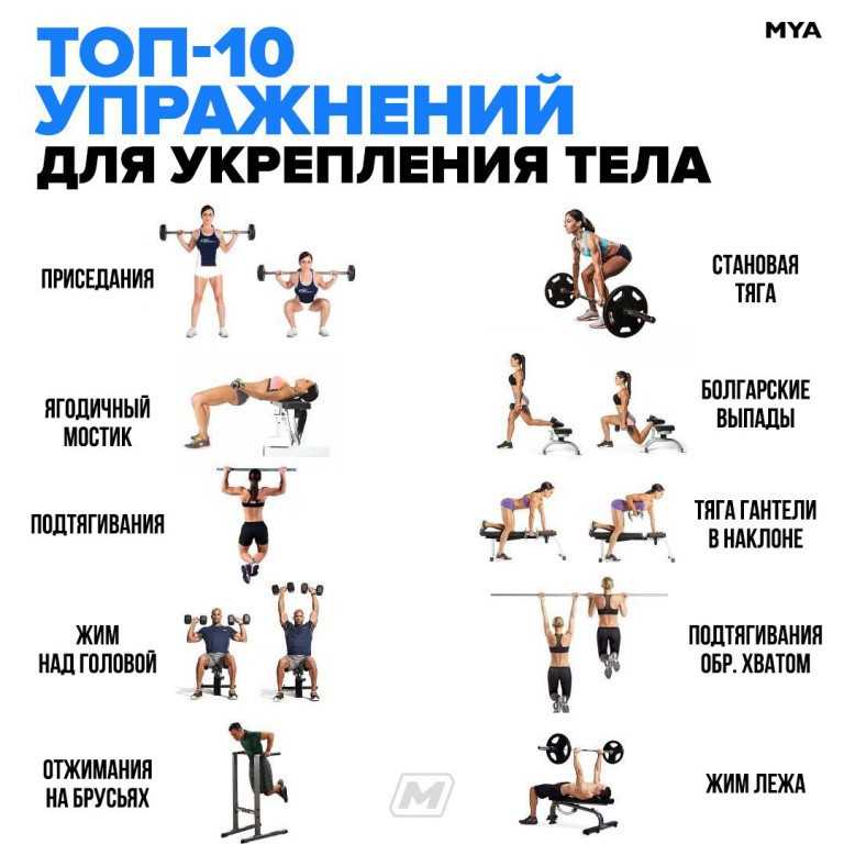 Круговая тренировка дома для девушек: комплекс эффективных упражнений - tony.ru