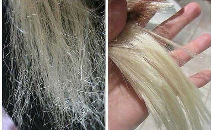 Как восстановить обесцвеченные волосы: блондинкам на заметку