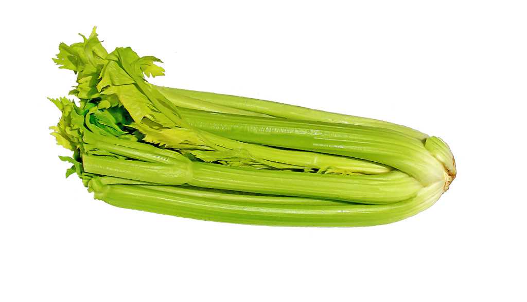 Как употреблять сельдерей для похудения – семидневная диета на этом чудо-овоще + вкусные рецепты