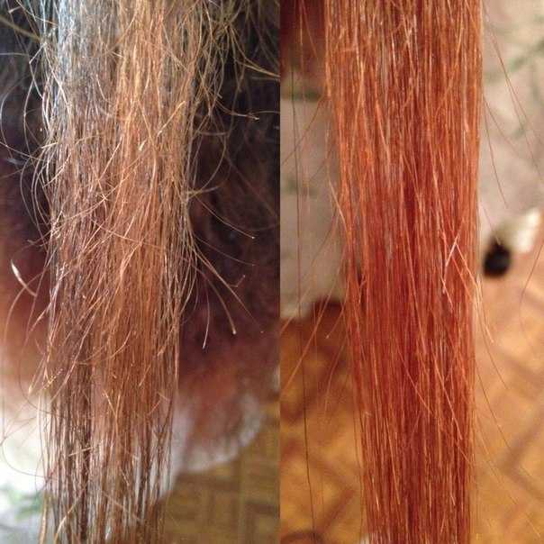 Как восстановить волосы после мелирования? уход за поврежденными волосами после мелирования