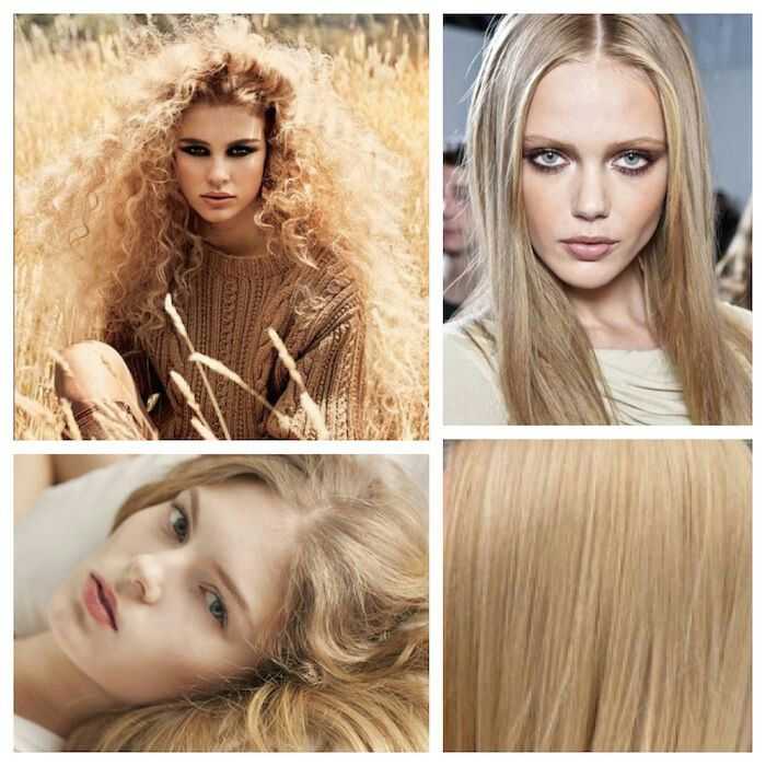 Пшеничный цвет волос: кому идет краска русый блонд, оттенок темной и светлой спелой пшеницы, покраска медового, золотистого, ржаного