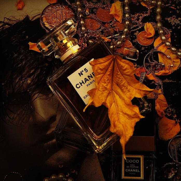 Выбор экспертов: 13 лучших ароматов на осень