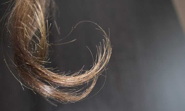 Волосы ломаются и секутся, что делать?причины и лечение сечения волос