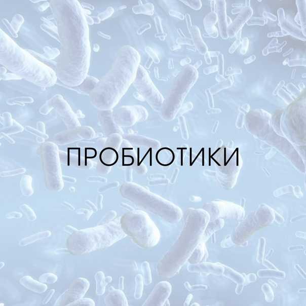 #чтиво | все, что нужно знать о бактериях - hi-news.ru