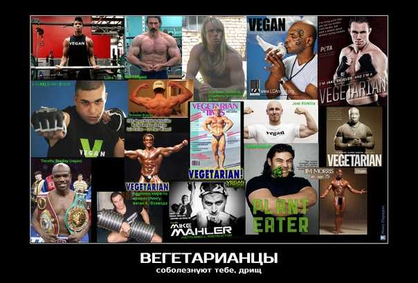 Российские звезды вегетарианцы и веганы: 50 знаменитостей