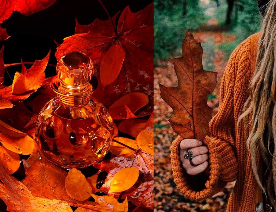 Выбор экспертов: 13 лучших ароматов на осень | beauty