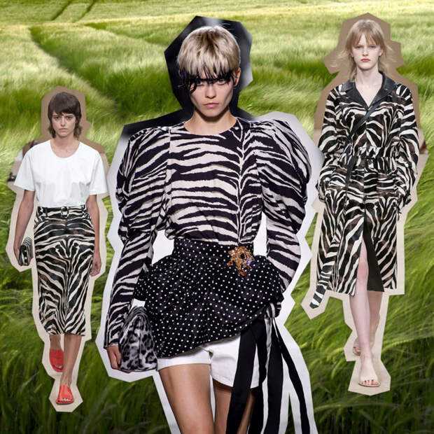 Леопардовый (тигровый) принт - модная тенденция осени: с чем носить и с какими аксессуарами сочетать